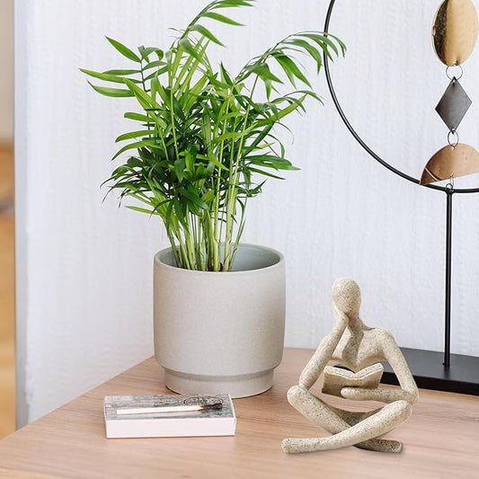 Thinker statue on a desk beside a plant
