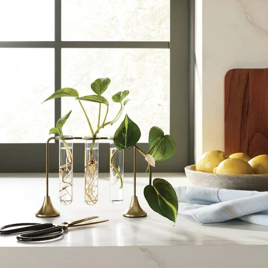 Brass and glass propagation vase with plant cuttings