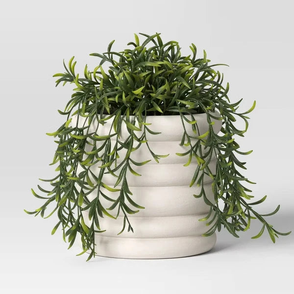 White stoneware planter with a trailing green plant